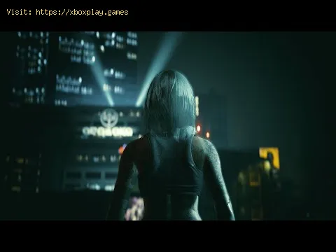 Video preview