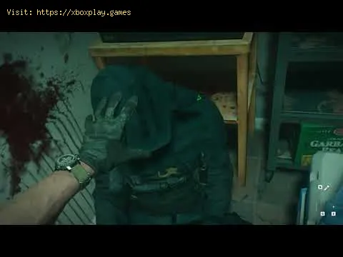 Video preview