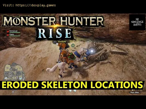 Video preview