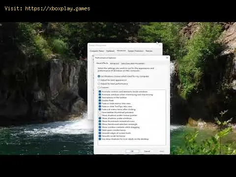 Video preview