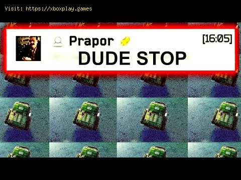 Video preview