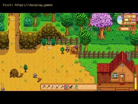 Video preview