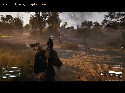 Video preview