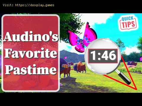 Video preview