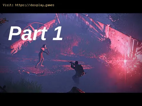 Video preview