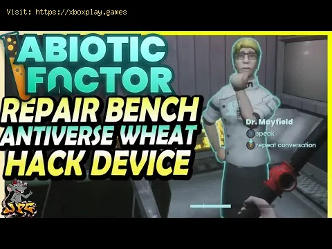 Video preview