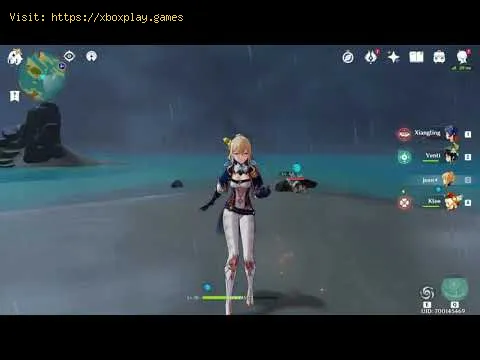 Video preview