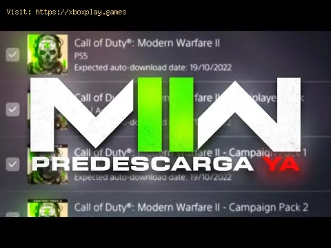 Video preview