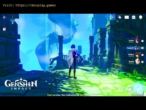 Video preview