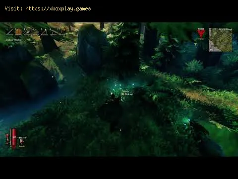 Video preview