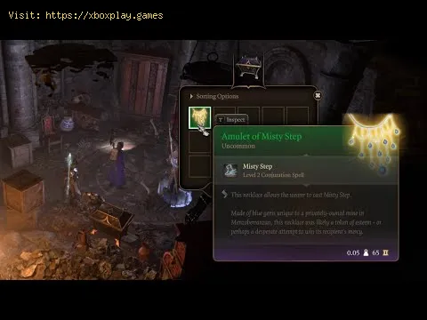 Video preview