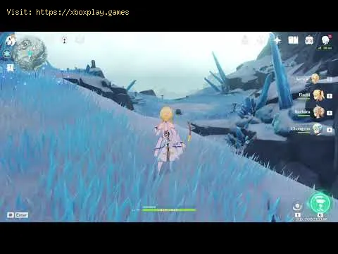 Video preview