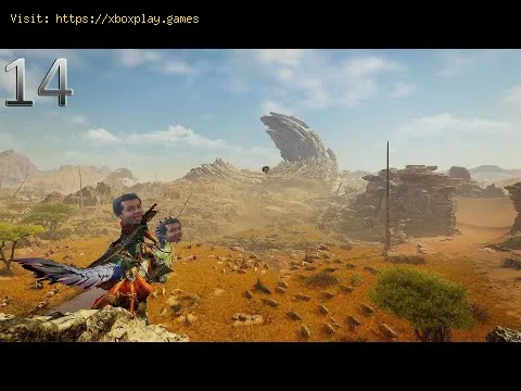 Video preview