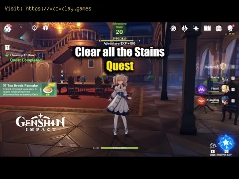 Video preview