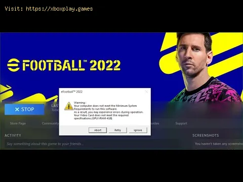 Video preview