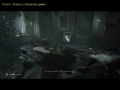 Video preview