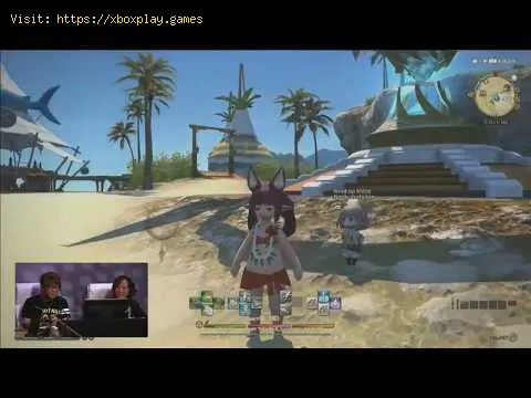 Video preview