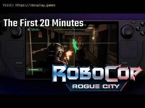 Video preview