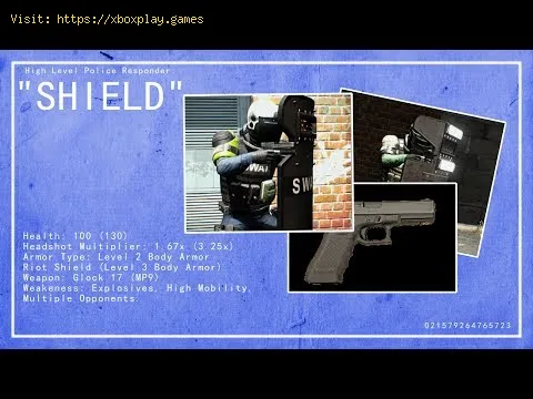 Video preview