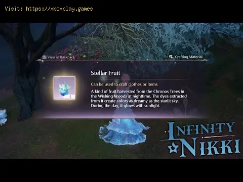 Video preview