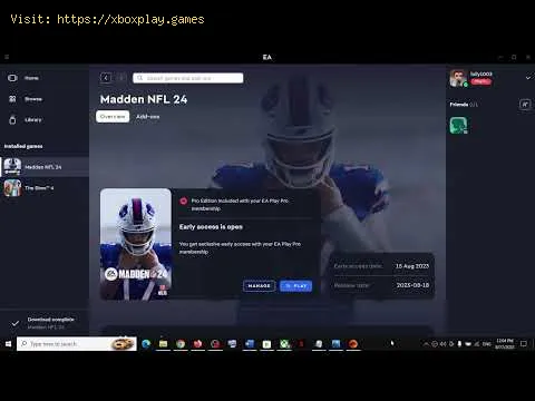 Video preview