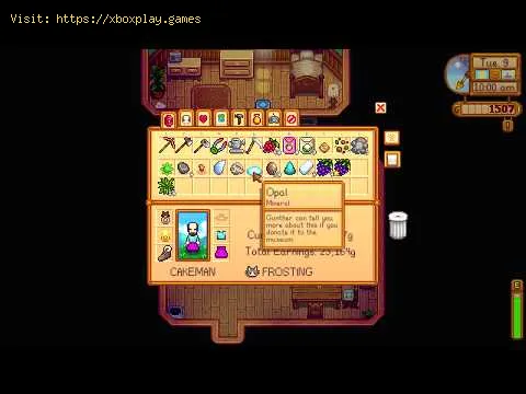 Video preview