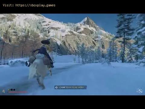 Video preview