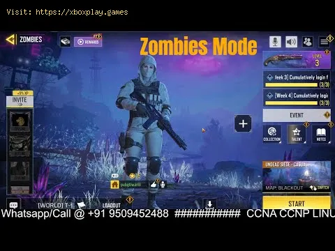 Video preview