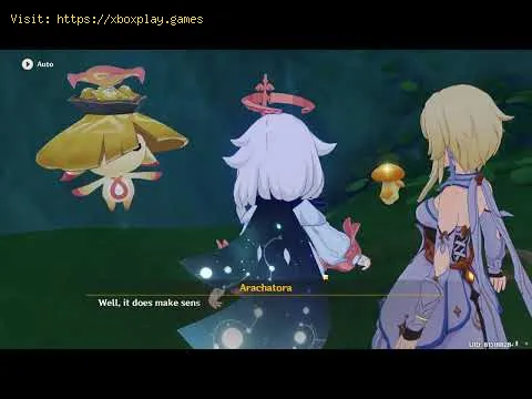 Video preview