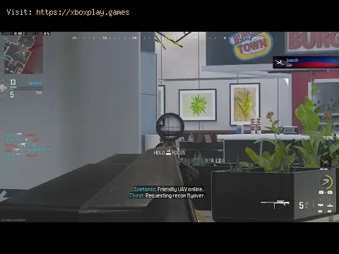 Video preview