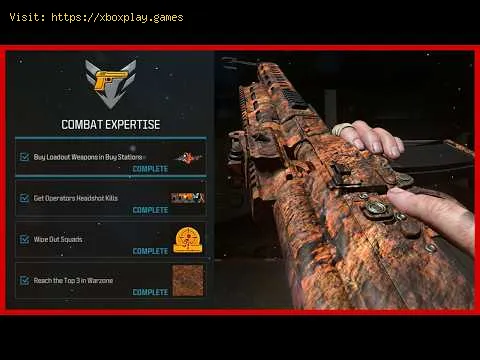 Video preview