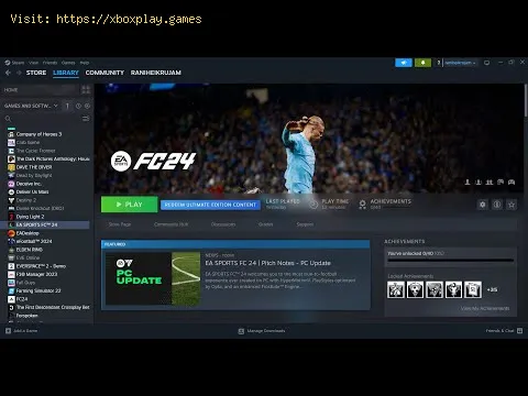 Video preview