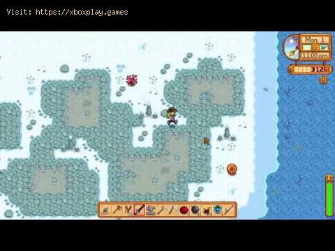 Video preview