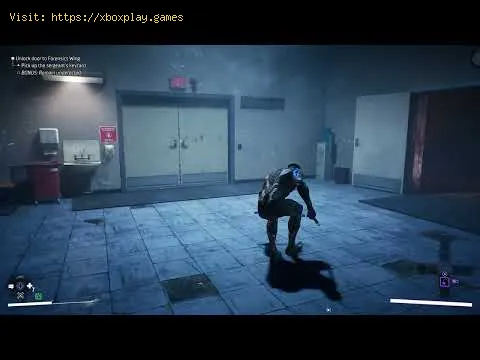Video preview