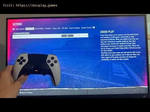 Video preview
