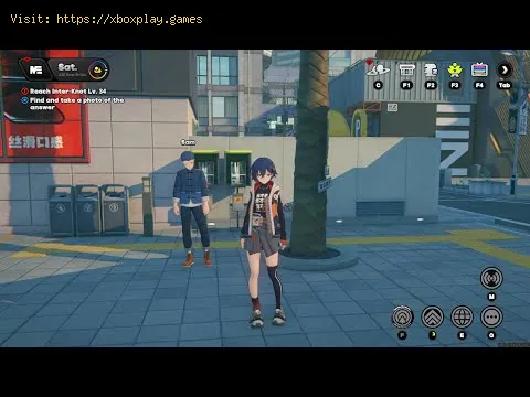 Video preview