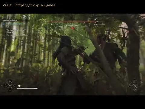 Video preview