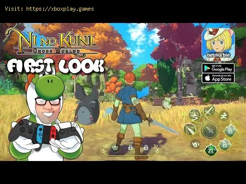 Video preview