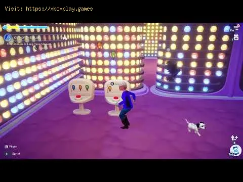 Video preview
