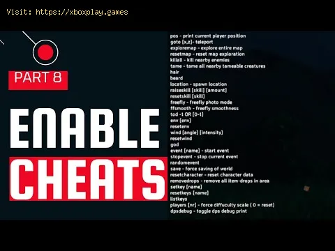 Video preview