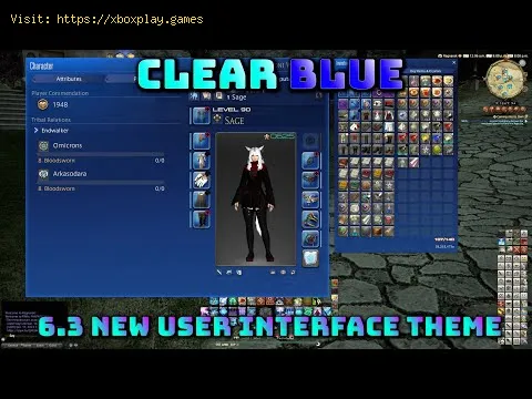 Video preview