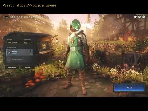 Video preview