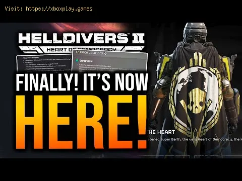 Video preview