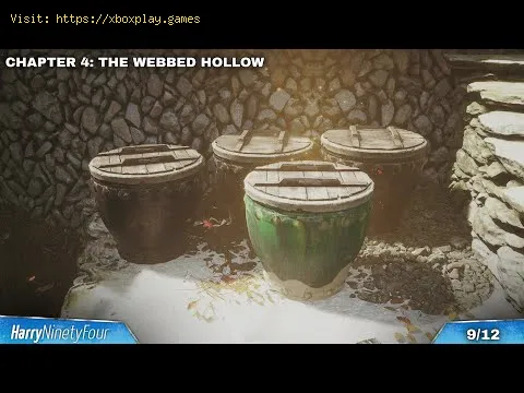 Video preview