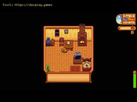 Video preview
