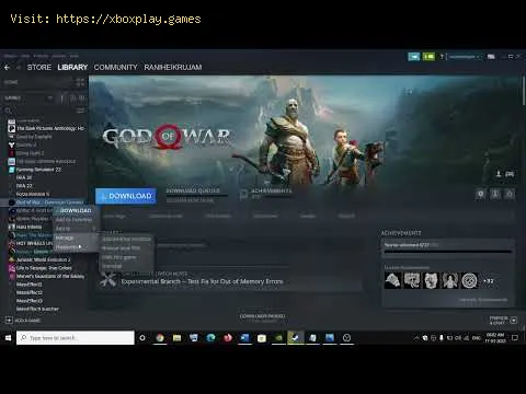 Video preview