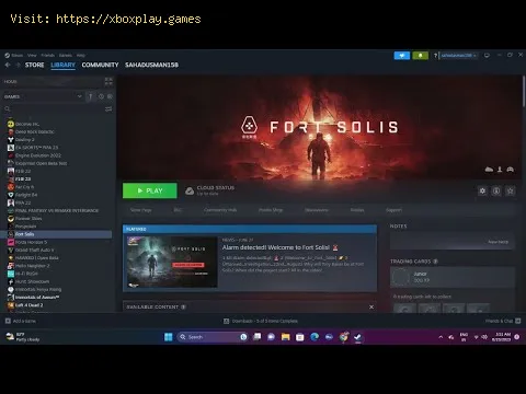 Video preview