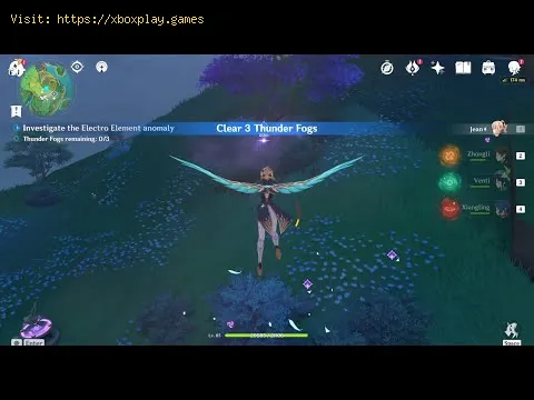 Video preview