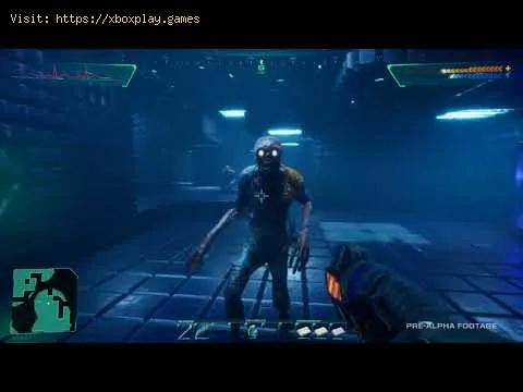 Video preview
