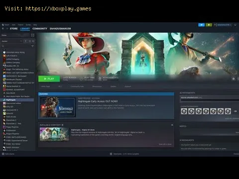 Video preview